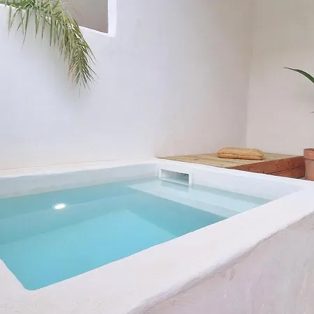 Appartement Xenónas Avec Petite Piscine Privée *