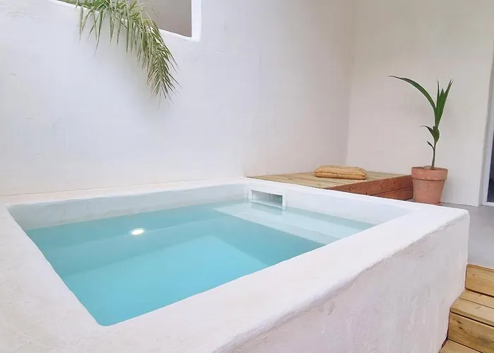 Apartment Xenonas Avec Petite Piscine Privee *